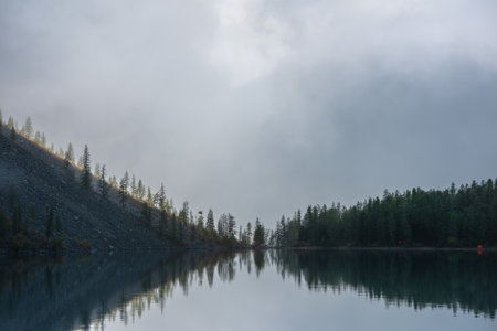 Tranquil meditative misty scenery of glacial lake with pointy fir tops reflection at early morning. Mountain lake.の写真素材