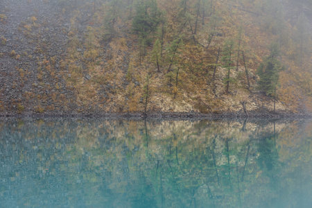 Simple meditative landscape with forest hill reflection in tranquil turquoise lake in fog. Mossy shore with firs in fading autumn colors reflected in mirror mountain lake. Autumn shore of alpine lake.の写真素材