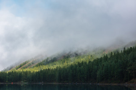 Tranquil misty meditative scenery of glacial lake with forest hill under thick low clouds. Coniferous trees on hillside reflected in calm alpine lake. Mountain lake and dense fog at early morning.の写真素材