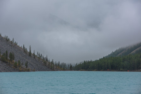Dramatic meditate landscape with ripples on big azure mountain lake against pointy firs silhouettes in low clouds. Tranquil view to cyan alpine lake and peaked tops of spruces in low cloudy gray sky.の写真素材