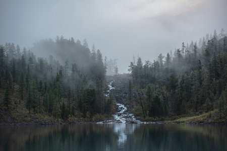Mountain creek flows from forest hills into glacial lake in mysterious fog. Small river and coniferous trees reflected in calm alpine lake in early morning. Tranquil misty scenery with mountain lake.の写真素材