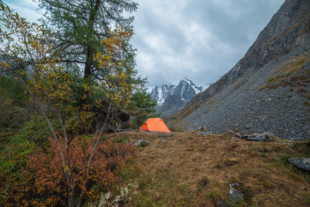 Dramatic landscape with alone orange tent on forest hill among rocks and autumn flora with view to large snowy mountain range under cloudy sky. Lonely tent and fading autumn colors in high mountains.の写真素材