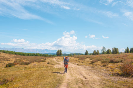 Alone traveler with large backpack walks along hiking trail on sunlit high mountain plateau under white clouds in blue sky. Backpacker with photo camera in autumn mountain trekking in good weather.の写真素材