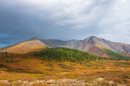 Scenic motley autumn landscape with forest on sunlit multicolor hill and rocky mountain range under dramatic sky. Vivid autumn colors in mountains. Sunlight and shadows of clouds in changeable weatherの写真素材