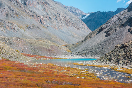 Small azure lake among multicolor high mountain valley in vivid autumn colors between rocks in sunny day. Shallow stony river from mountain lake among motley dwarf birch shrubs in bright sun at autumnの写真素材