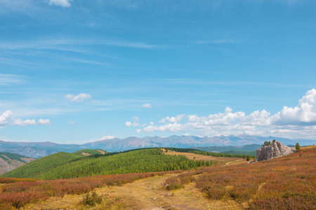 Atmospheric autumn landscape with big rock on hill with view to sunlit mountain vastness and high mountain range line on horizon under clouds. Impressive mountain scenery in vivid fading autumn colorsの写真素材