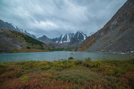 Motley autumn shrubs with view to alpine lake and snow mountain range in overcast. Mountain against lake large snowy mountains under gray cloudy sky. Fading autumn colors in high mountains during rainの写真素材