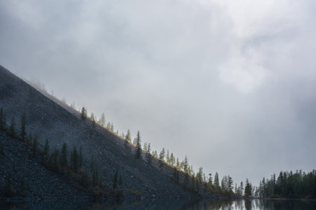 Tranquil meditative misty scenery of glacial lake and pointy fir tops on hill at early morning. Graphic EQ of spruce tops on hillside in golden sunlight on alpine lake in mystery fog.の写真素材