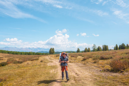 Alone traveler with large backpack walks along hiking trail on sunlit high mountain plateau under white clouds in blue sky. Backpacker with photo camera in autumn mountain trekking in good weather.の写真素材