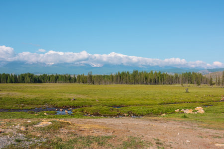 Scenic landscape with creek against forest and large snowy mountain range in low clouds in bright sun under blue sky. Colorful green scenery with high snow-white mountains in low clouds in sunny day.の写真素材