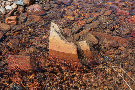 Sharp stone in clear water stream with motley stony bottom in sunlight. Colorful mountain stream with mineral water in bright sun. Picturesque top view to sunlit multicolor stones in spring water.の写真素材