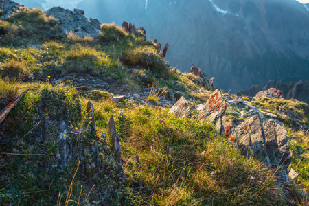 Colorful mountain scenery on abyss edge with sharp stones among green flora in sunlight. Sunny view from cliff at very high altitude. Scenic alpine landscape with beautiful sharp rocks in sunshine.の写真素材