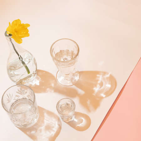 Minimal spring conept with flower and glassesの写真素材