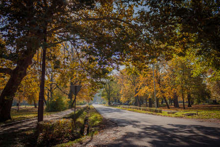 Beautiful autumn landscapeの写真素材