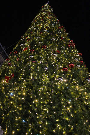 Giant Christmas tree look from bottomの写真素材