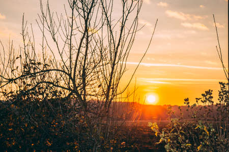 Lovely sunset by the countryside in natureの写真素材