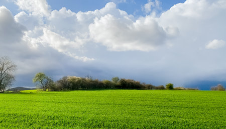 Spring landscape with green field and blue sky with white clouds, nature seriesの写真素材