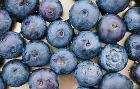 fresh blueberries closeup . texture bluenerry. selective focusの写真素材