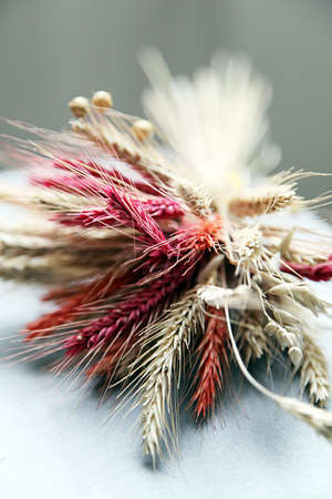 bundle of decorative wheatの写真素材