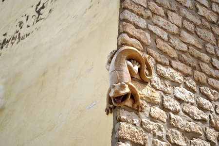 Lizard figure in a frontの写真素材