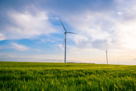 Wind power plant on agricultural field against the background of blue sky with clouds.