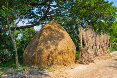 Stack of straw after harvest on the side of a country road. Dry haystack for cattle feed. Harvesting forage for the winter.の写真素材