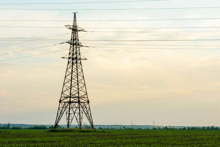 High voltage power lines. Transmission of electricity by means of poles through agricultural land. high quality photoの写真素材