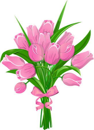 Pink tulips with ribbonのイラスト素材