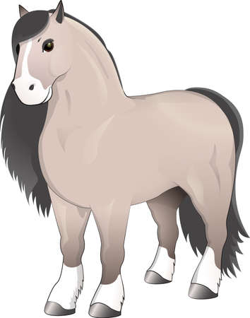 Gray horse standingのイラスト素材