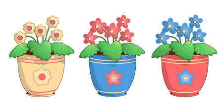 Three pots of violets.のイラスト素材