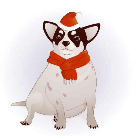 chihuahua in a New Year s capのイラスト素材