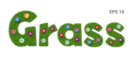 Word Grass with texture and flowers.のイラスト素材