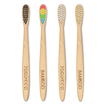 Bamboo brushes4 vectorのイラスト素材