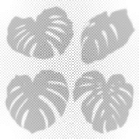 Monster Shadow Effectのイラスト素材