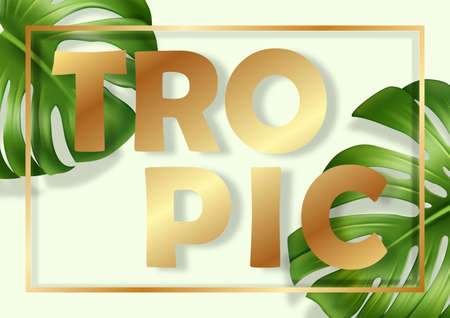 Monstera leaves frame on yellowのイラスト素材