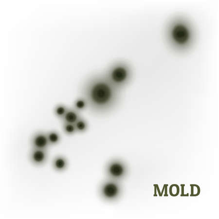 Black mold fungusのイラスト素材