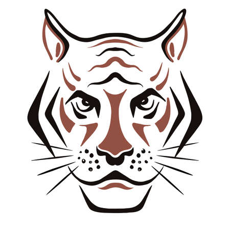 Tiger face sketch Freehand ink vectorのイラスト素材