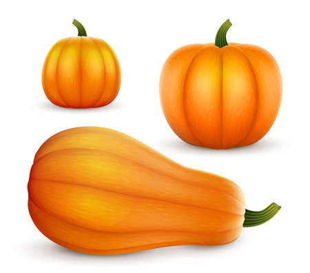 pumpkin set vector isolated white background eps 10のイラスト素材