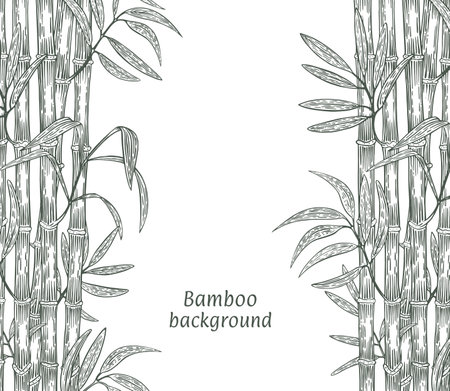 bamboo banner on both sides vector illustrationのイラスト素材