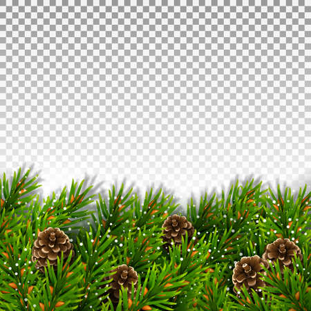 Banner fir branches with cones transparent backgroundのイラスト素材