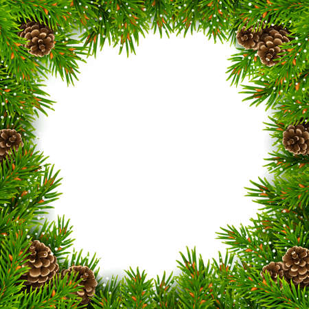 Christmas square fir frame with pine cones vectorのイラスト素材