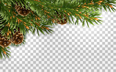 Isolated spruce corner frame with pine conesのイラスト素材