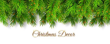 Border top of fir branches for christmas vectorのイラスト素材