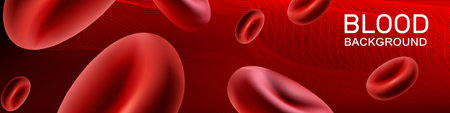 Blood with red erythrocytes flows through the veins and vessels of a person. Donor Day, anemia awareness. horizontal site header. red background. Vector.のイラスト素材