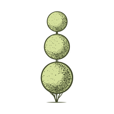 Sketch of topiary conifers. Sheared thuja sphere. Geometric trees for advertising and landscape design. isolated on white background. Vectorのイラスト素材