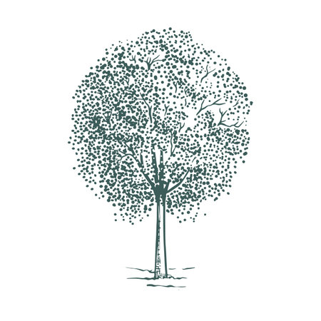 Sketch plant tree vector illustration hand drawn2のイラスト素材