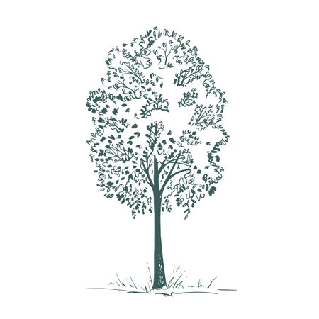 Sketch plant tree vector illustration hand drawn11のイラスト素材