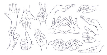 Hand gestures sketch setのイラスト素材