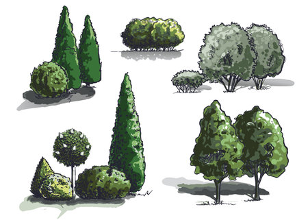 groups of plants sketch in color vectorのイラスト素材