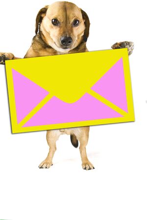 a post little dogの写真素材